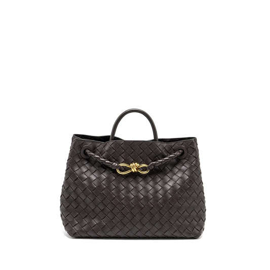 Bottega Veneta Medium Andiamo Purse Lambskin Fondant