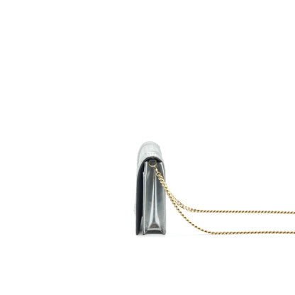 Dior Diorama Wallet on Chain Metallic Silver Rovelle Bags