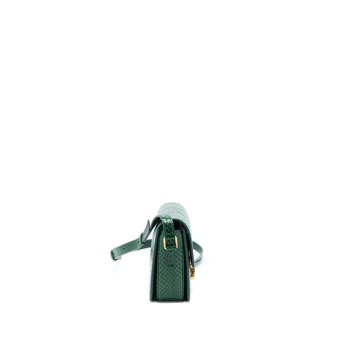 Celine Triomphe Purse Water Snake Leather Green