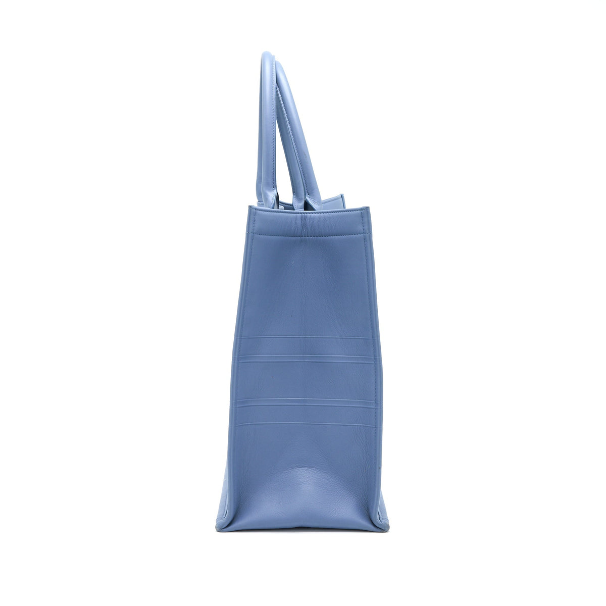Dior Large Book Tote Light Blue Rovelle Bags
