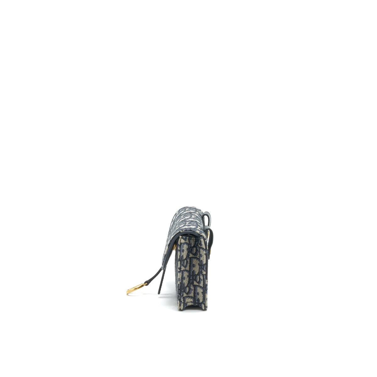 Dior Saddle belt Pouch Oblique Rovelle Bags