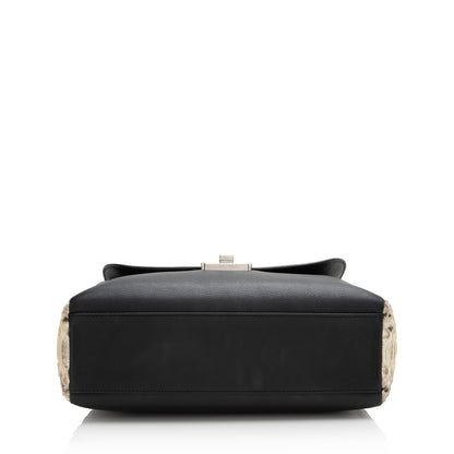 Dior Calfskin Python Diorling Large Shoulder Bag (SHF-22330) Rovelle Bags