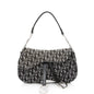 Dior Canvas Logo Double Saddle Shoulder Bag (SHF-21002) Rovelle Bags