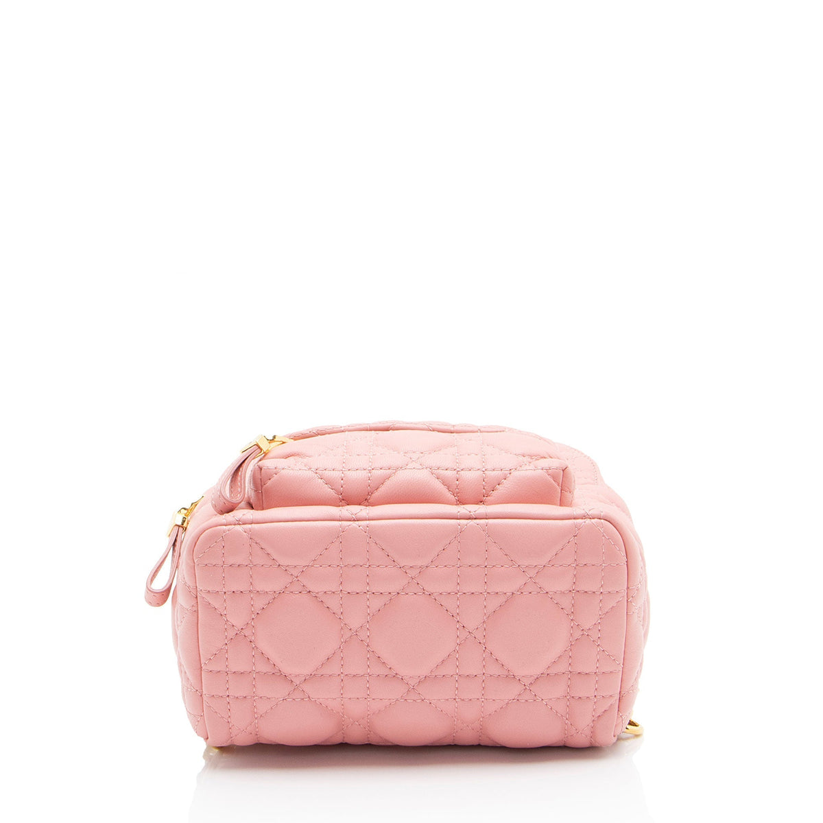 Dior Lambskin Mini Backpack Rovelle Bags