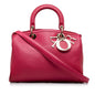 Dior Leather Satchel (SHG-IGGoTx) Rovelle Bags