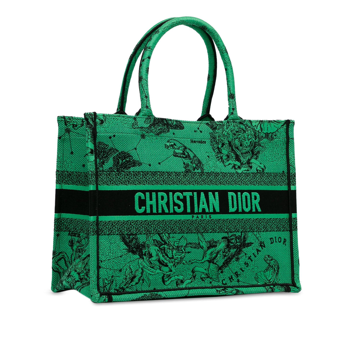 Dior Medium Embroidered Canvas Book Tote Rovelle Bags