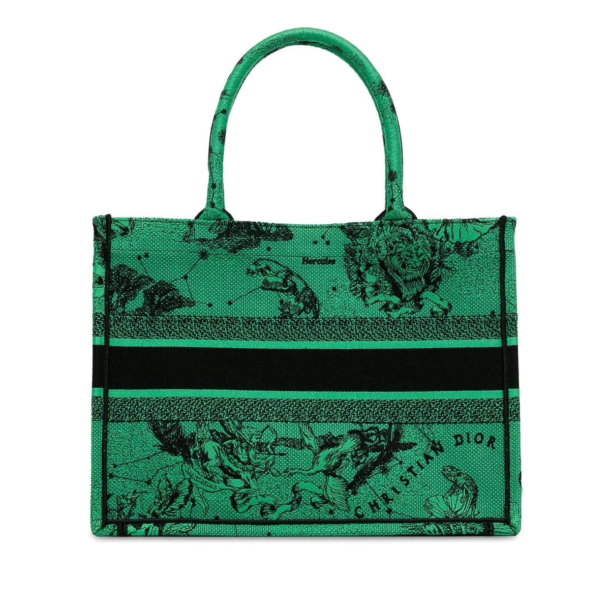 Dior Medium Embroidered Canvas Book Tote Rovelle Bags