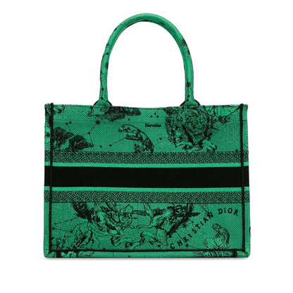 Dior Medium Embroidered Canvas Book Tote Rovelle Bags