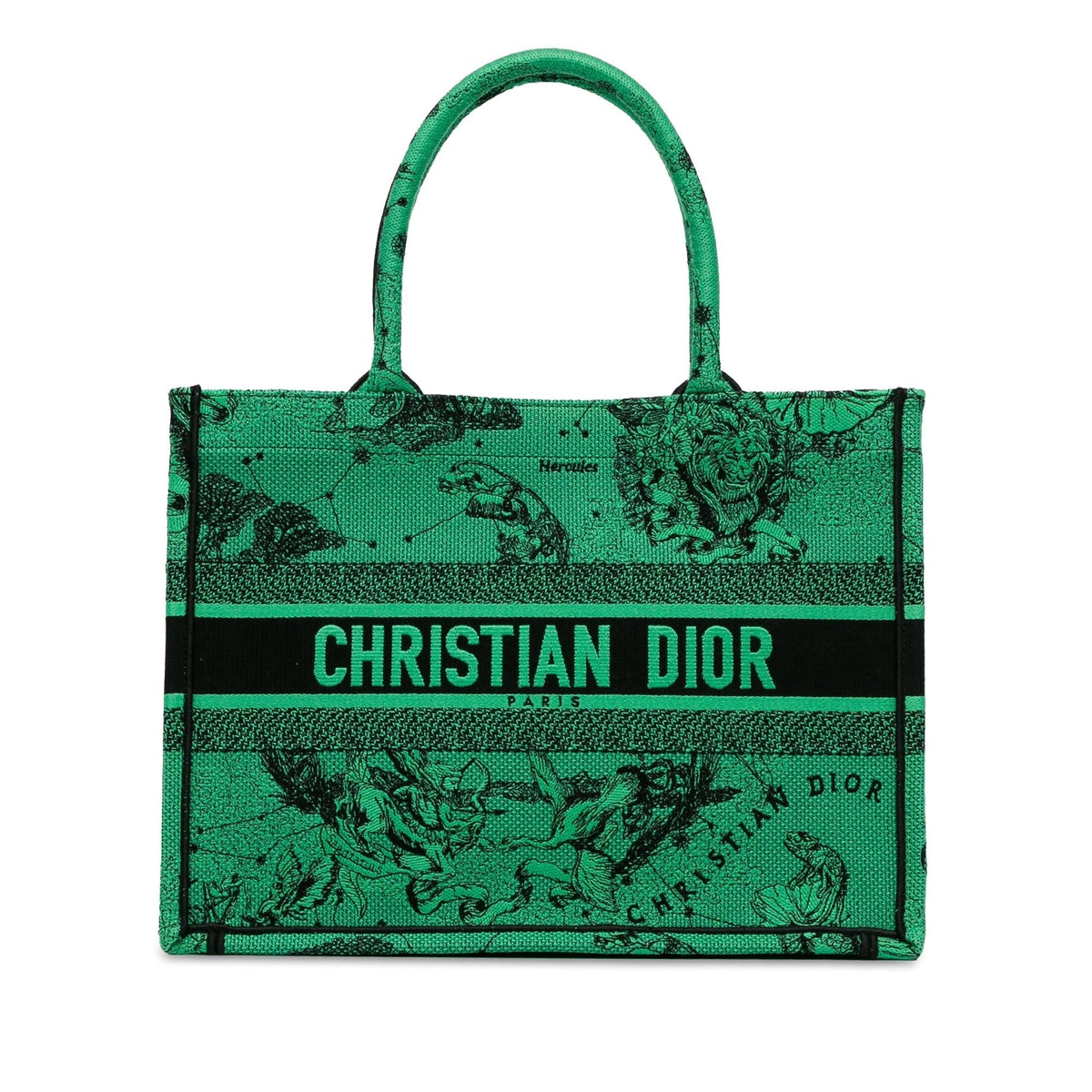 Dior Medium Embroidered Canvas Book Tote Rovelle Bags