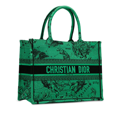 Dior Medium Embroidered Canvas Book Tote Rovelle Bags