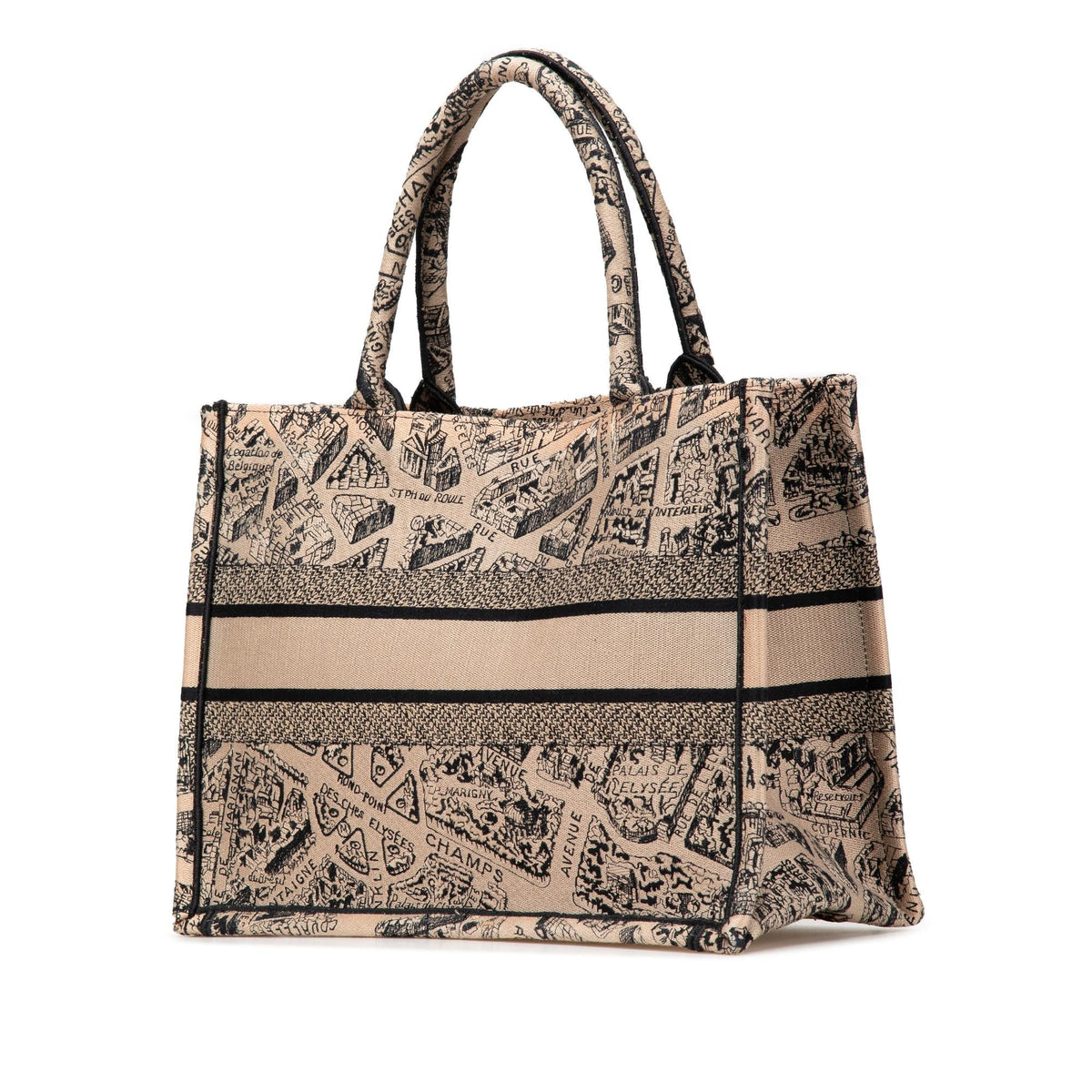 Dior Medium Embroidered Canvas Plan de Paris Book Tote Rovelle Bags
