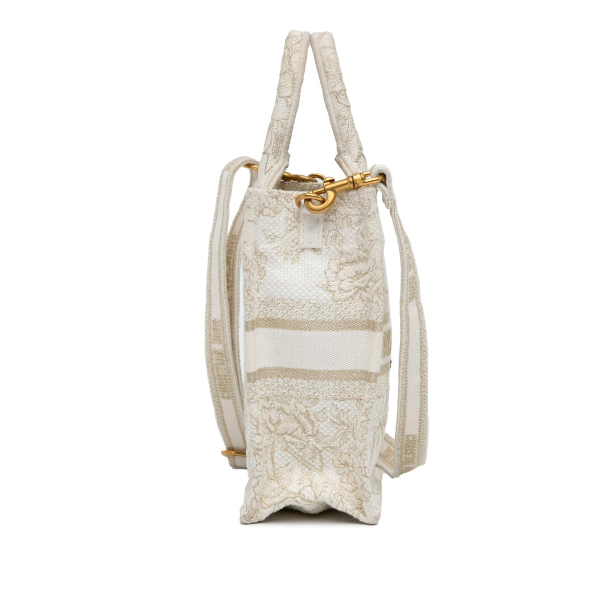Dior Mini Jardin D'Hiver Vertical Book Tote Rovelle Bags