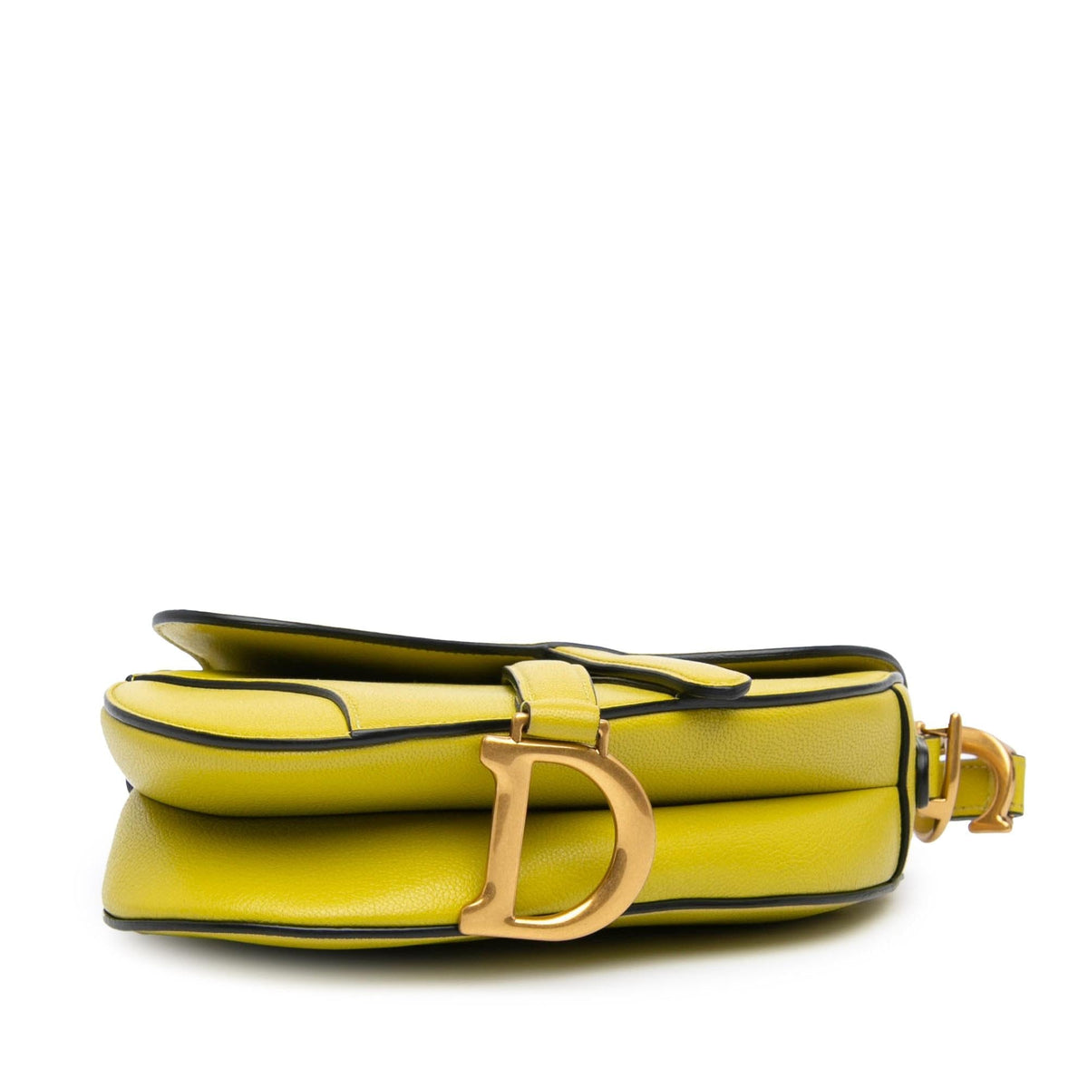 Dior Mini Leather Saddle Rovelle Bags