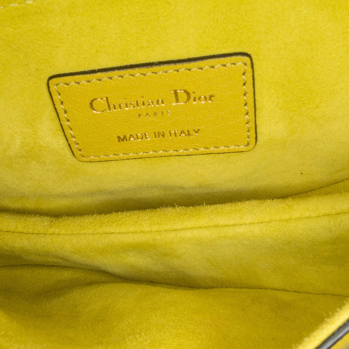 Dior Mini Leather Saddle Rovelle Bags