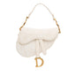 Dior Mini Oblique Saddle (SHG-4KTFrz) Rovelle Bags