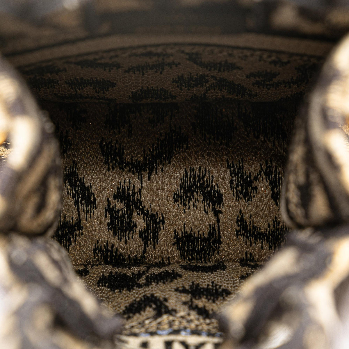 Dior Mizza Mini Embroidered Canvas Leopard Vertical Book Tote Rovelle Bags
