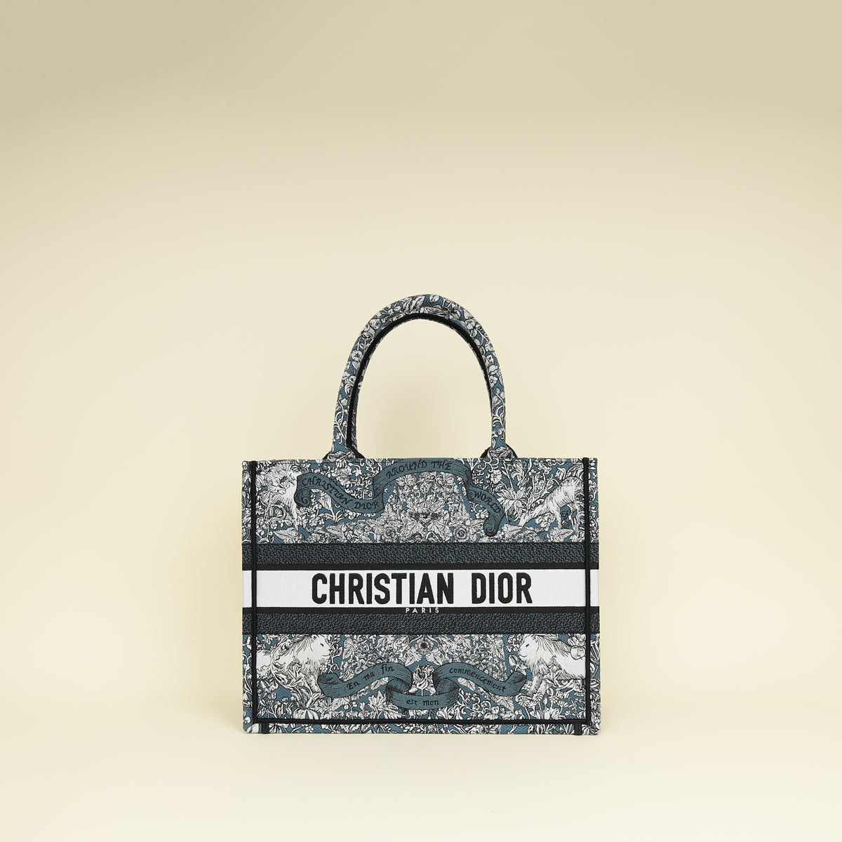 Christian Dior Tricolor Around The World Embroidered Book Medium Tote Bag Rovelle Bags