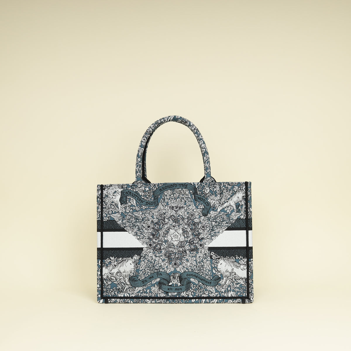 Christian Dior Tricolor Around The World Embroidered Book Medium Tote Bag Rovelle Bags