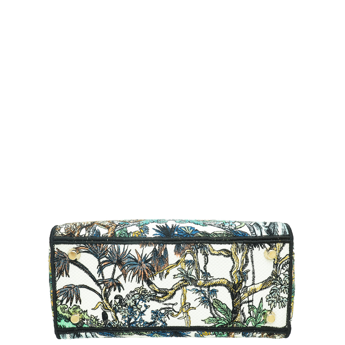 Christian Dior Multicolor Étoile De Voyage Embroidery Lady D-Lite Medium Bag Rovelle Bags