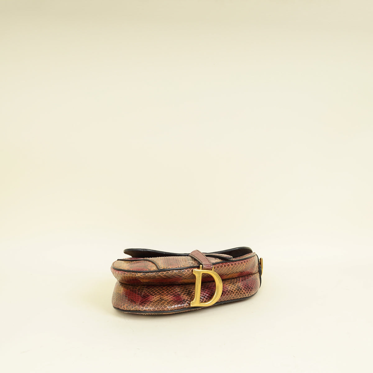 Christian Dior Multicolor Saddle Python Medium Bag Rovelle Bags