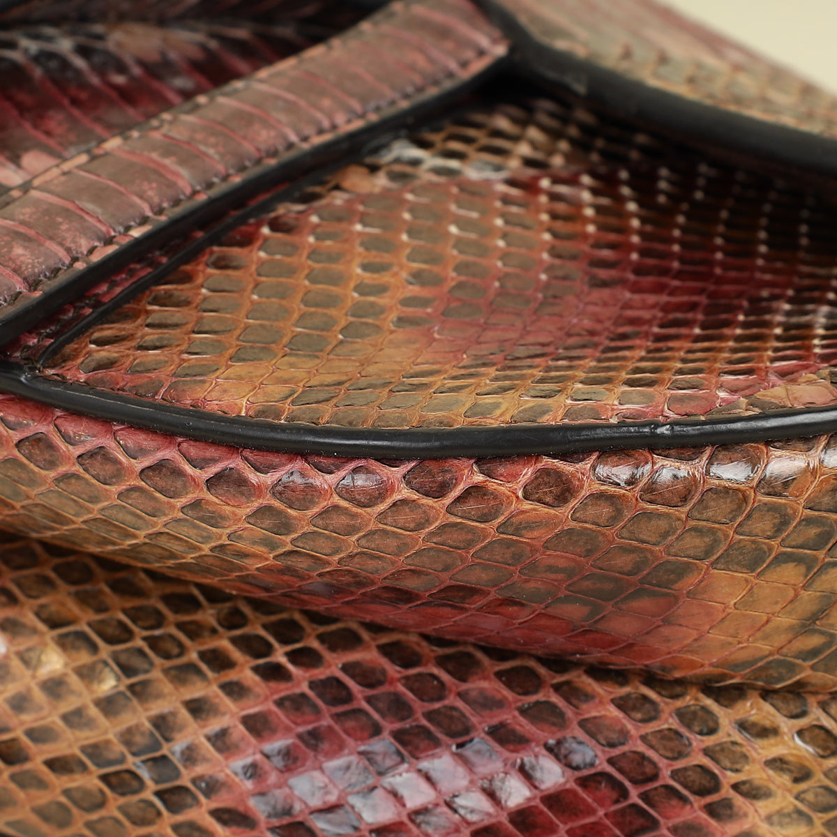 Christian Dior Multicolor Saddle Python Medium Bag Rovelle Bags