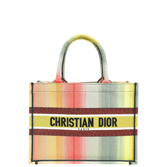 Christian Dior Multicolor Book Tote Medium Bag Rovelle Bags