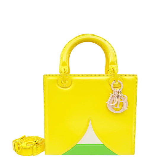 Christian Dior Yellow Multicolor Art Ltd Ed Leonhard Hurzlmeier Lady Dior Medium Bag Rovelle Bags