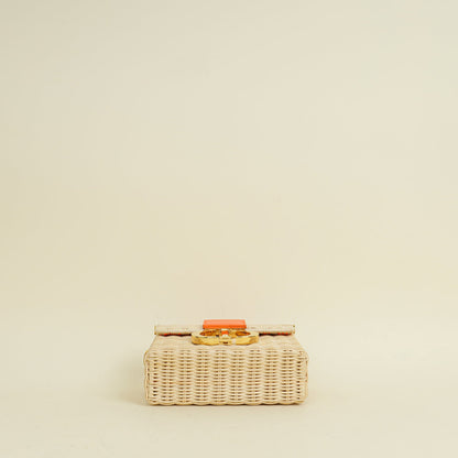 Christian Dior Neon Orange 30 Montaigne Wicker Box Bag Rovelle Bags