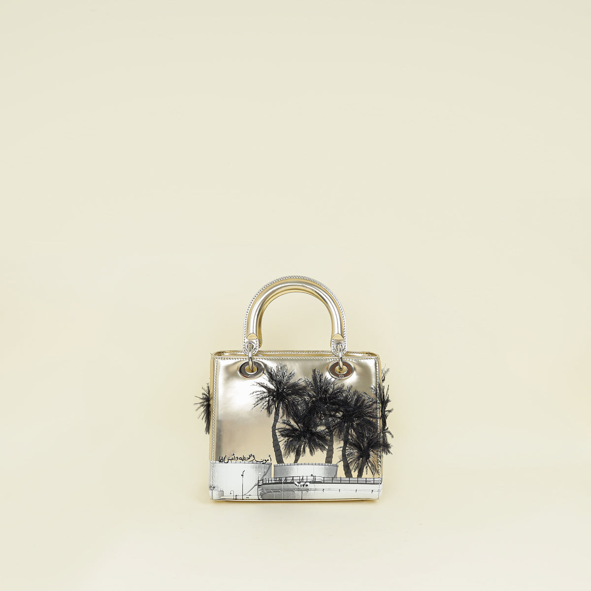 Dior Lady Dior Leather Clutch Style 6 Rovelle Bags