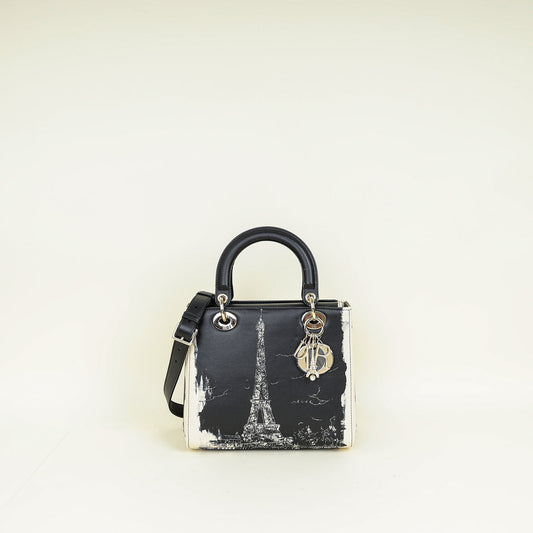 Christian Dior Bicolor Lady Dior Paris Print And Rhinestone Embroidery Medium Bag Rovelle Bags