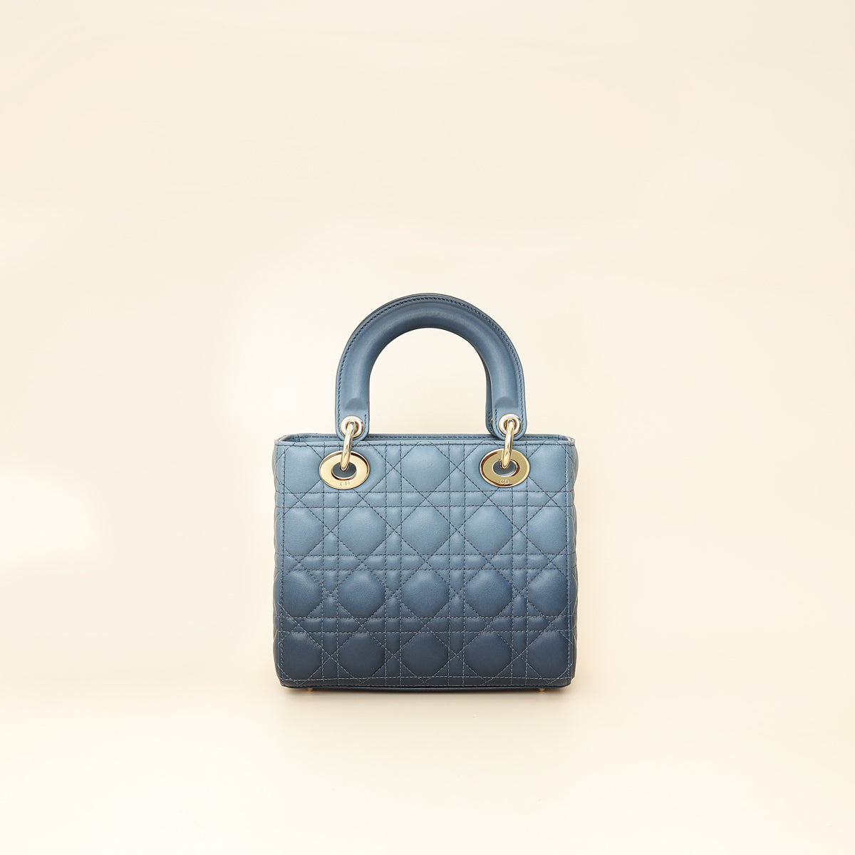 Dior Lady Dior Leather Handbag Style 76 Rovelle Bags