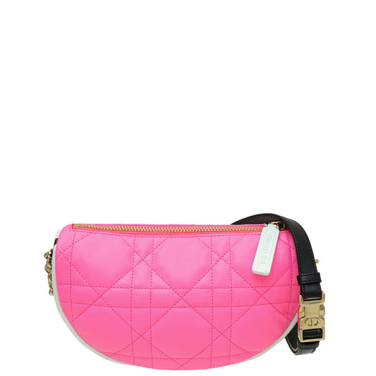 Christian Dior Bicolor Vibe Hobo Small Bag Rovelle Bags