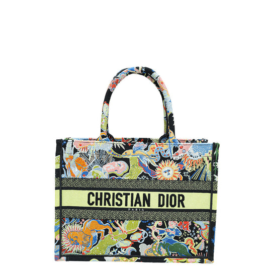 Christian Dior Multicolor Zodiac Fantastico Embroidered Medium Book Tote Bag Rovelle Bags