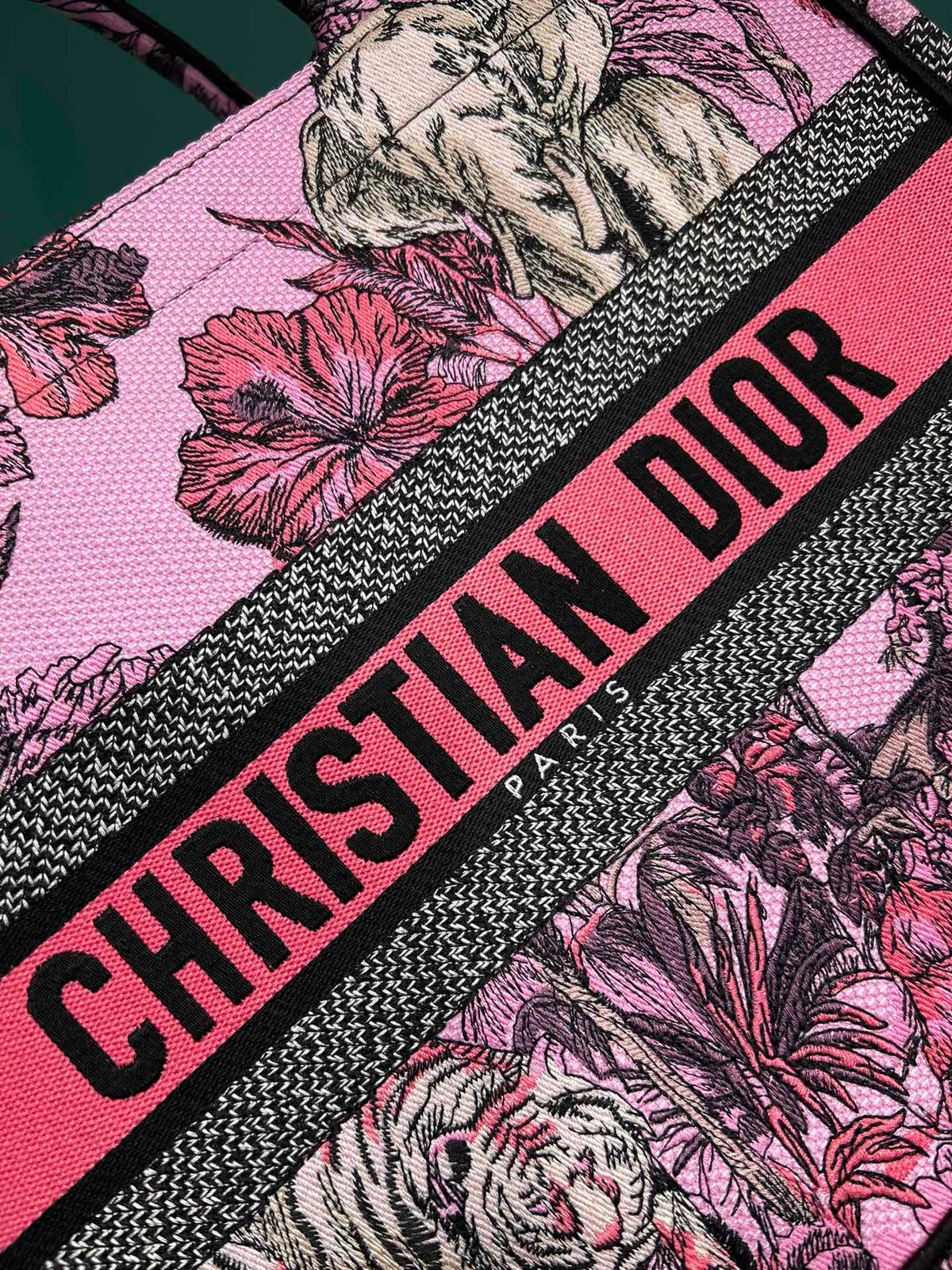 Christian Dior Book Tote Bag