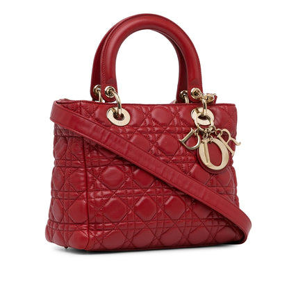 Dior Lady Dior Quilted Leather Handbag Rovelle Bags