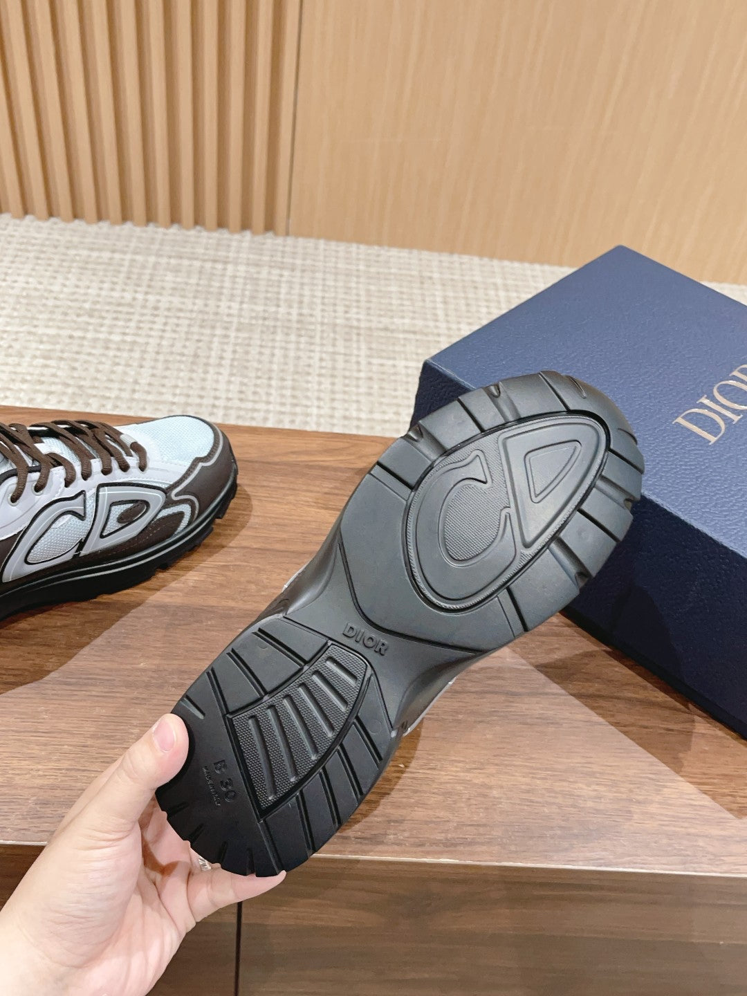 Christian Dior Men B30 Sneaker