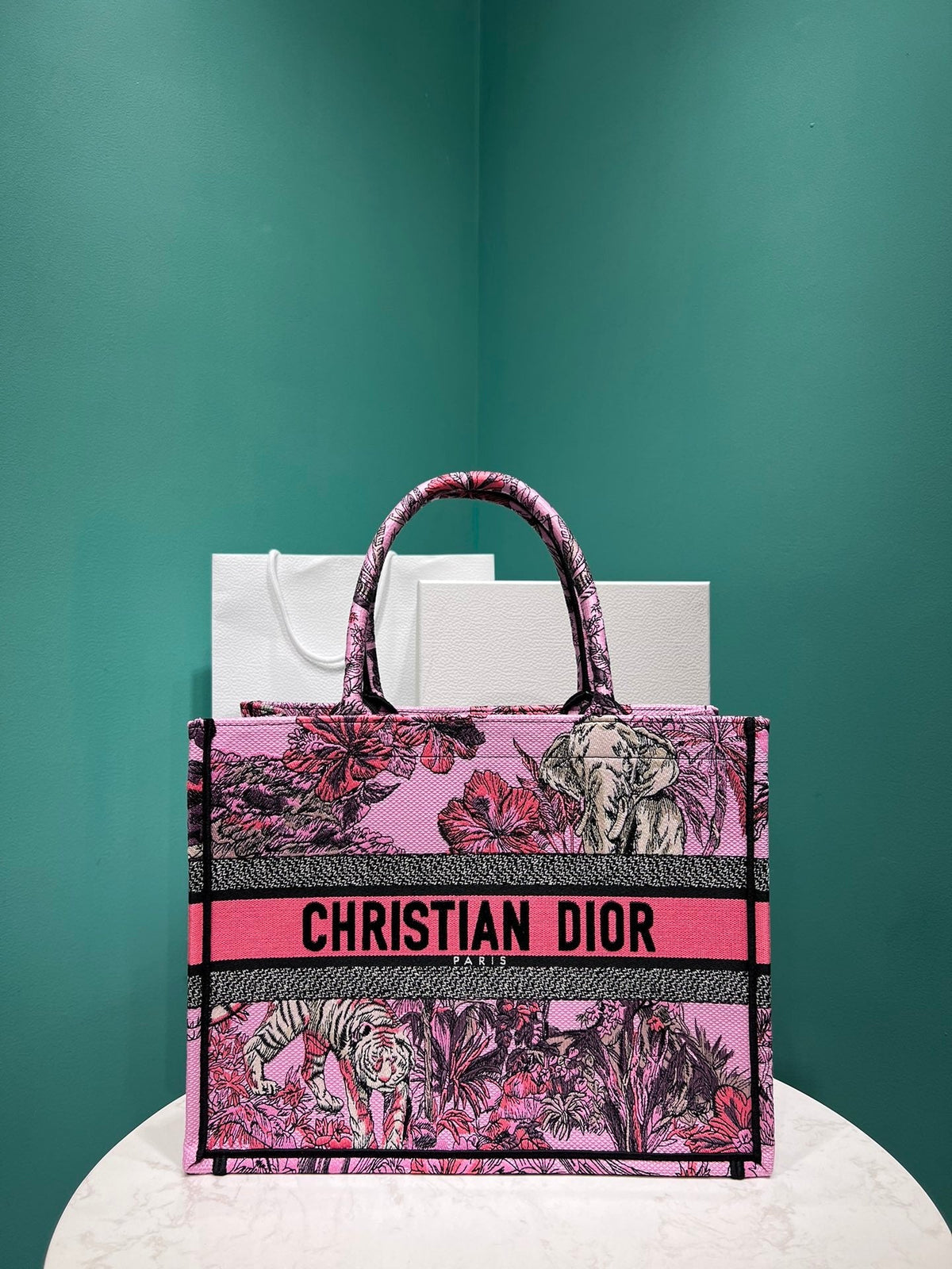 Christian Dior Book Tote Bag