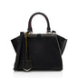 Fendi Leather Petite 2Jours Tote (SHF-20185) Rovelle Bags