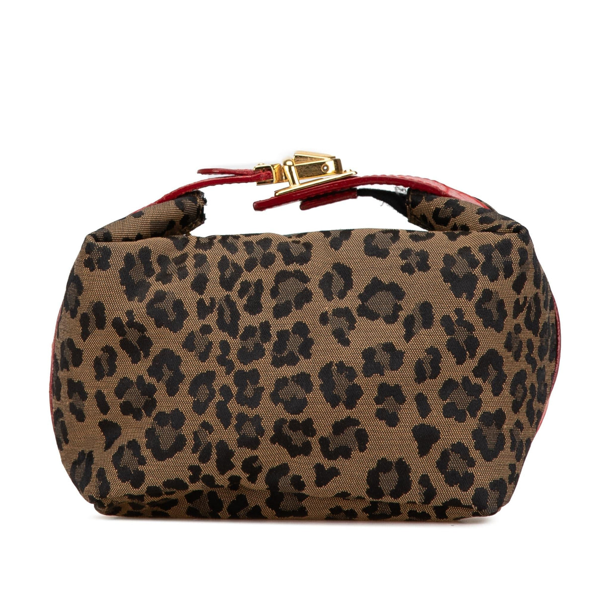 Fendi Leopard Print Canvas Handbag Shg-K1Hjde Rovelle Bags