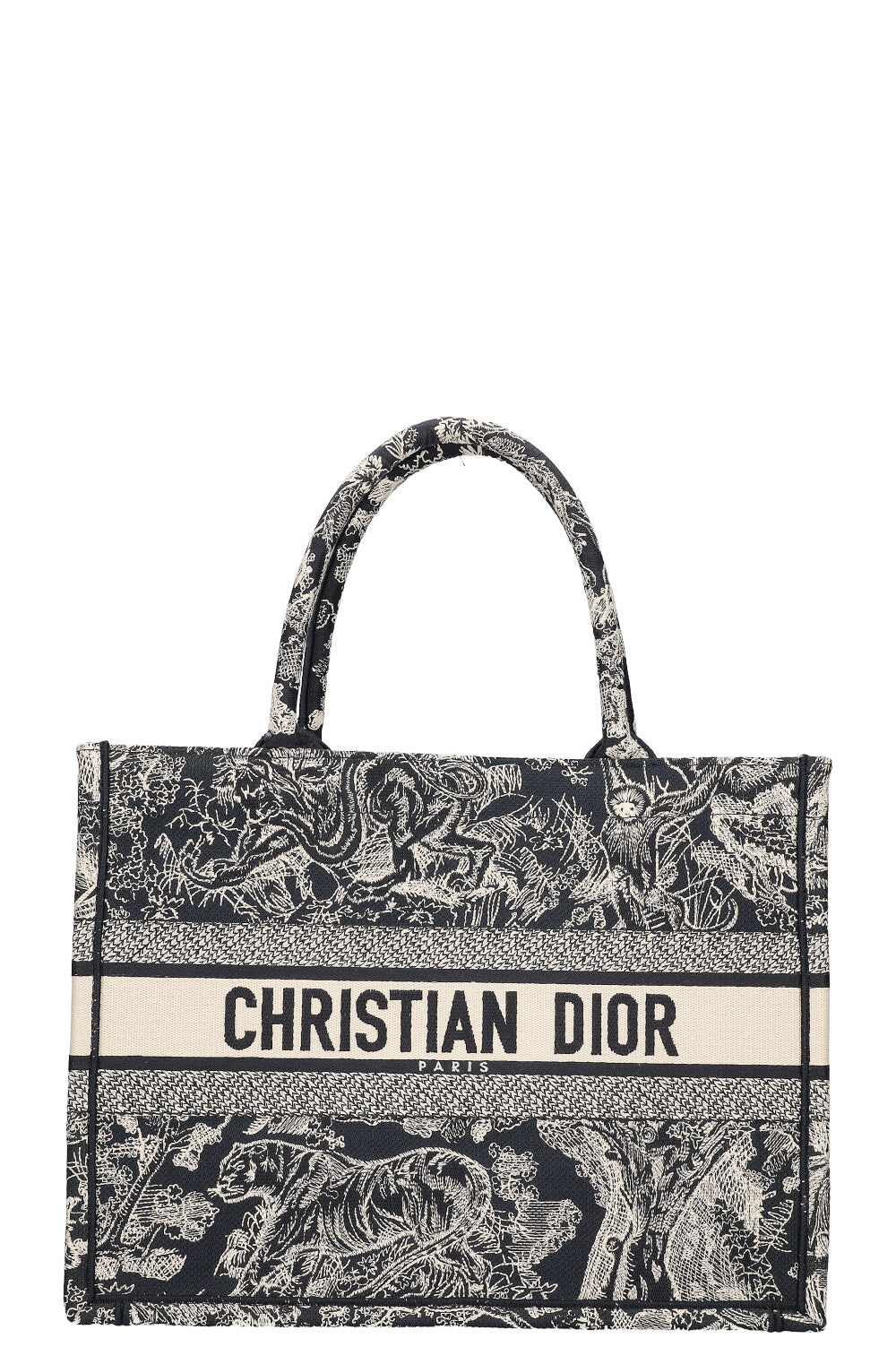 Christian Dior Book Tote Blue White Rovelle Bags