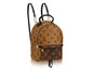 Louis Vuitton backpack palm springs mini