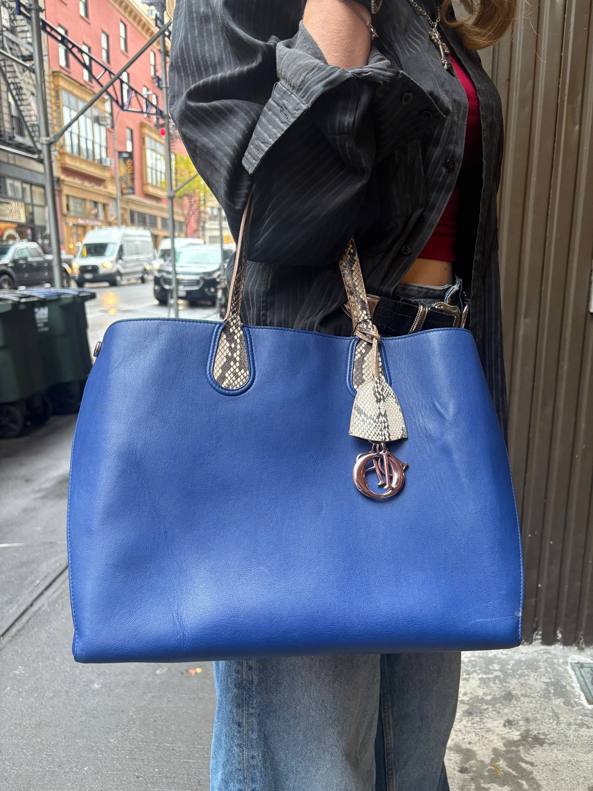 Christian Dior Python Trimmed Blue Addict Tote Rovelle Bags