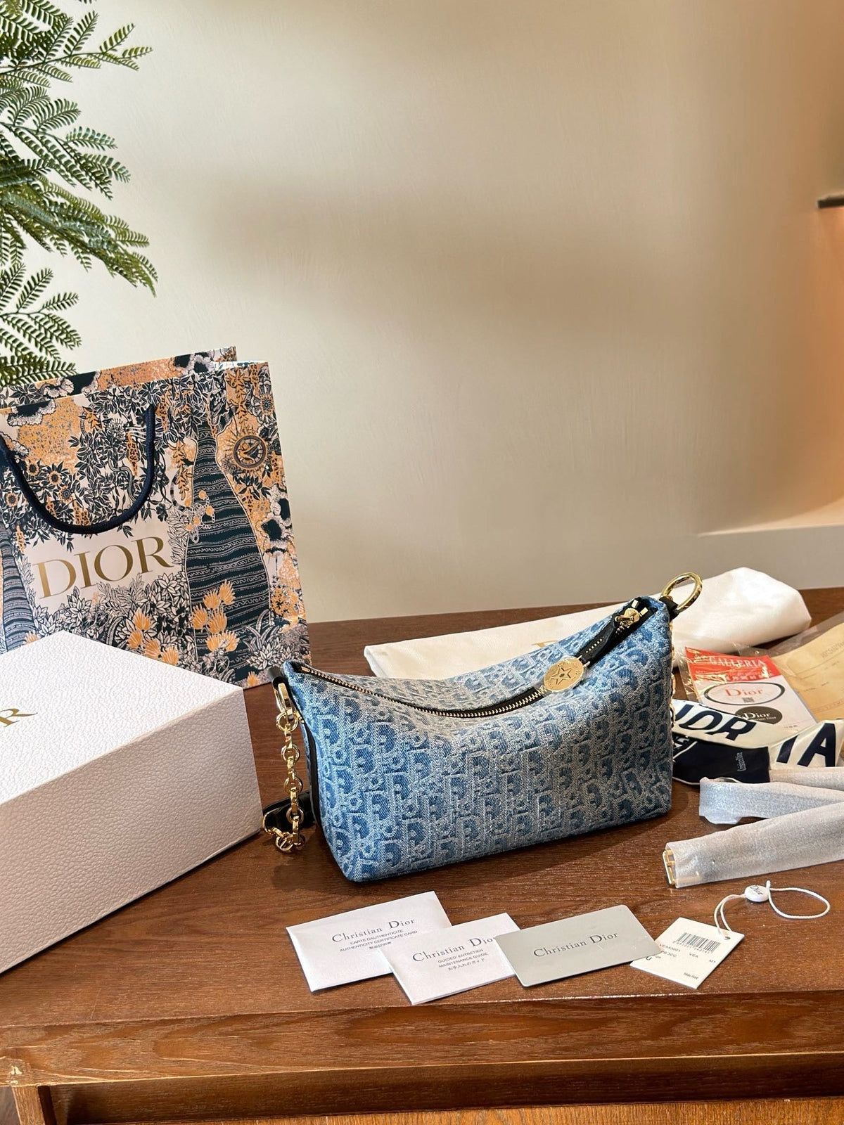 Dior Chain Shoulder Bag Rovelle Bags
