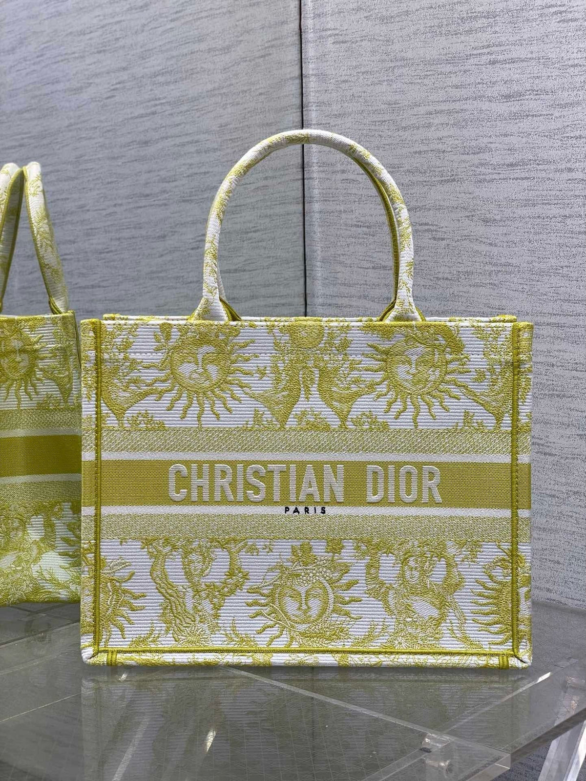 Dior Book Tote Tote Bag Rovelle Bags