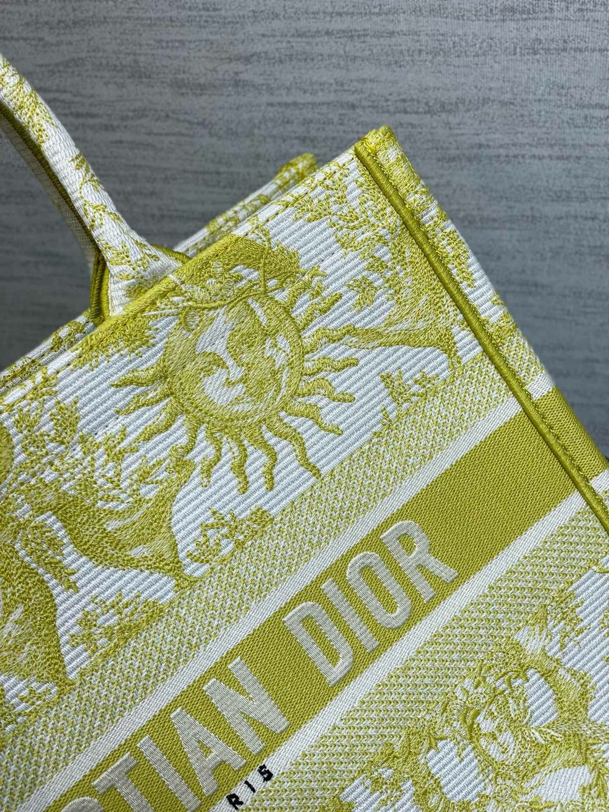 Dior Book Tote Tote Bag Rovelle Bags