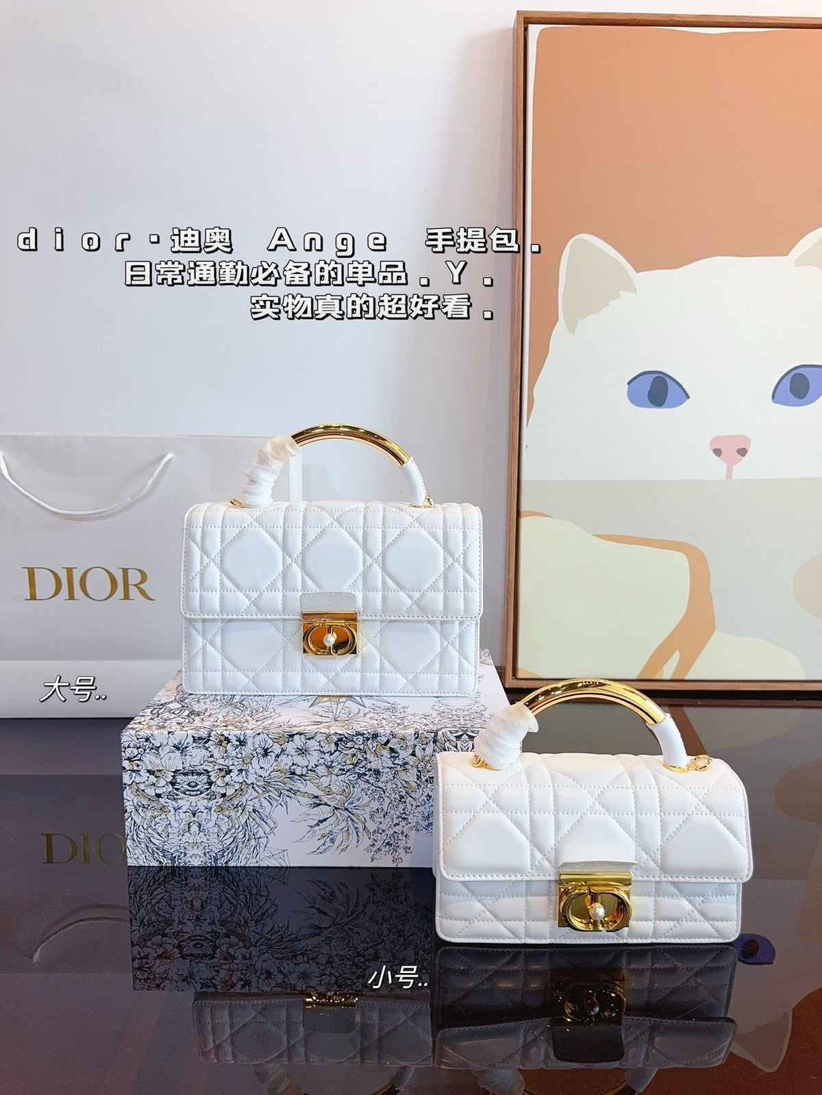 Dior Chain Leather Crossbody Bag Rovelle Bags