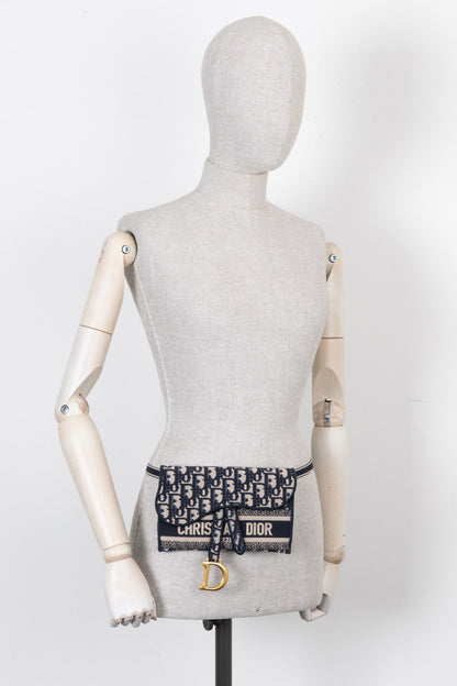Christian Dior Saddle Oblique Belt Pouch Rovelle Bags