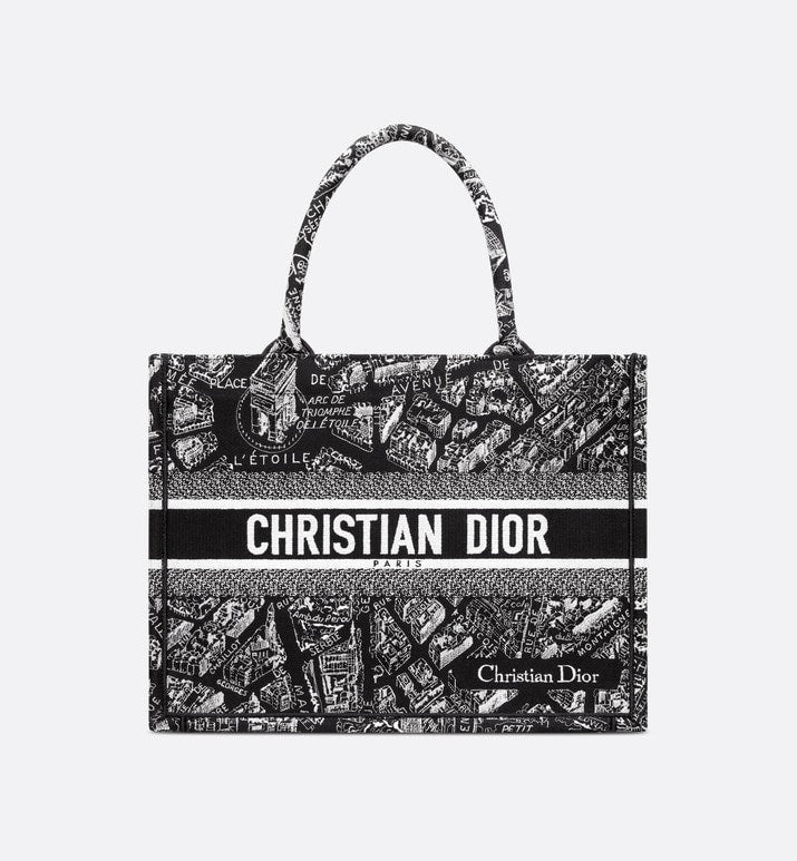 Dior Book Tote Tote Bag Rovelle Bags