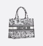 Dior Book Tote Tote Bag Rovelle Bags