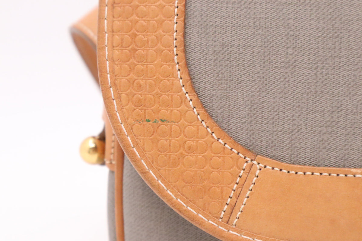 Dior Crossbody in Gray Coated Canvas Rovelle Bags